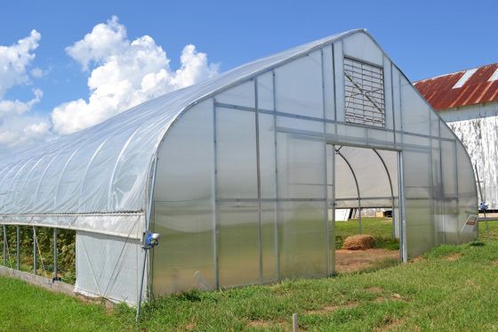 직류 전기로 자극된 철골 폴리에틸렌필름 온실 3.2m 높은 터널 온실