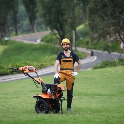 툴박스와 170F 회전 호오 경작자 kw 견인차 로커리 피스톤 엔진 5.5명